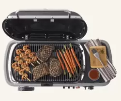 Weber Traveler Barbecue - image 3