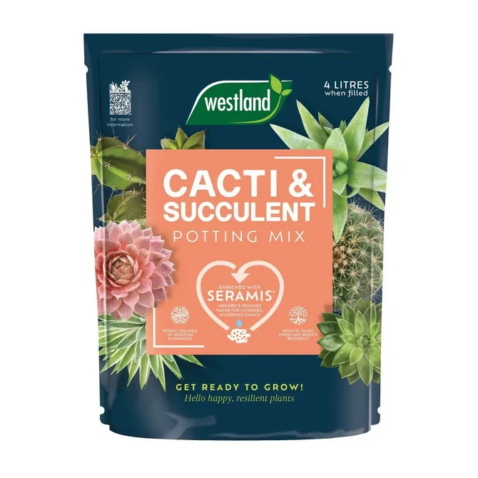 Westland Cacti & Succulent Potting Mix Peat Free 4L - image 1