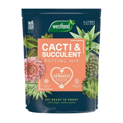 Westland Cacti & Succulent Potting Mix Peat Free 4L - image 1