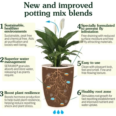 Westland Houseplant Potting Mix Peat Free 10L - image 3