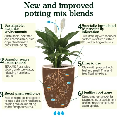Westland Houseplant Potting Mix Peat Free 4L - image 3